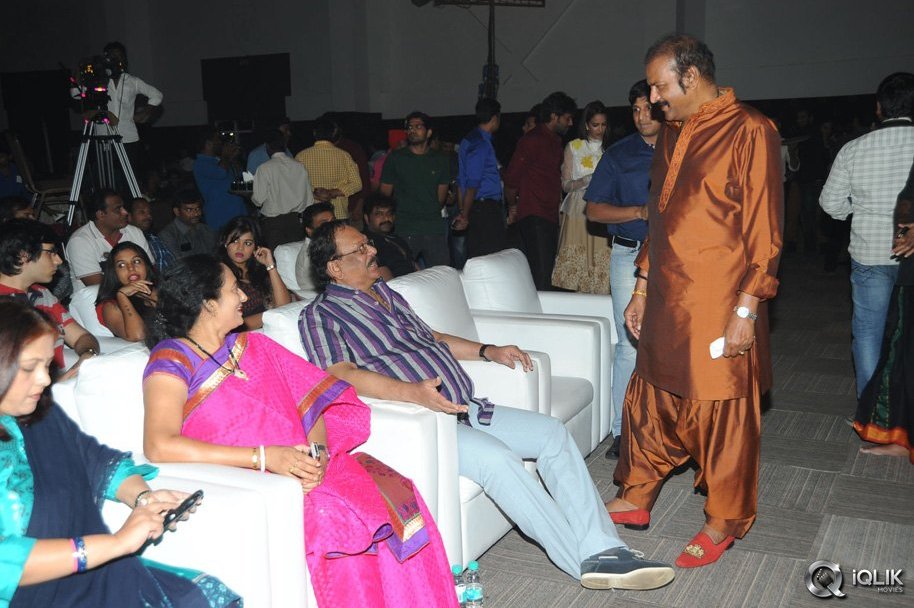 Current-Theega-Movie-Success-Meet